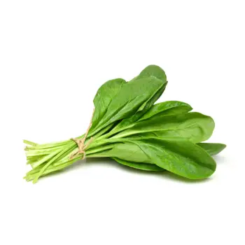 spinach (12)-9037174-57883.webp